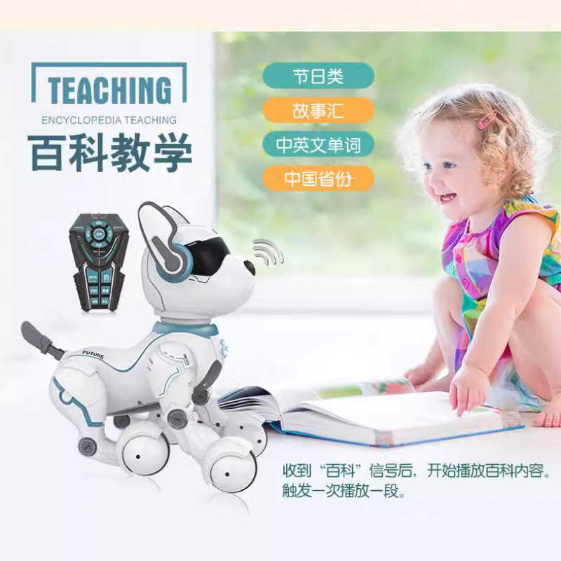 Pilot zdalnego sterowania inte – Remote Control Toys recenzja i cena